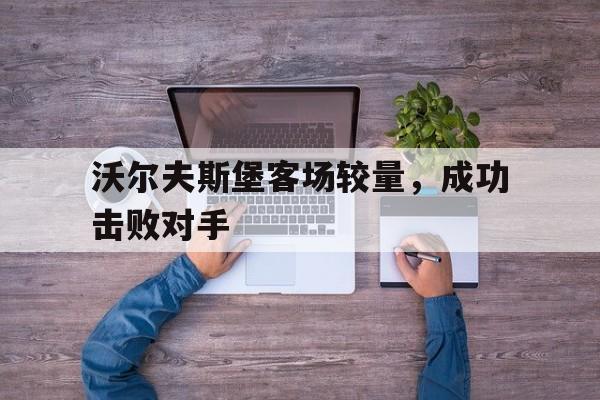 平博体育-沃尔夫斯堡客场较量，成功击败对手