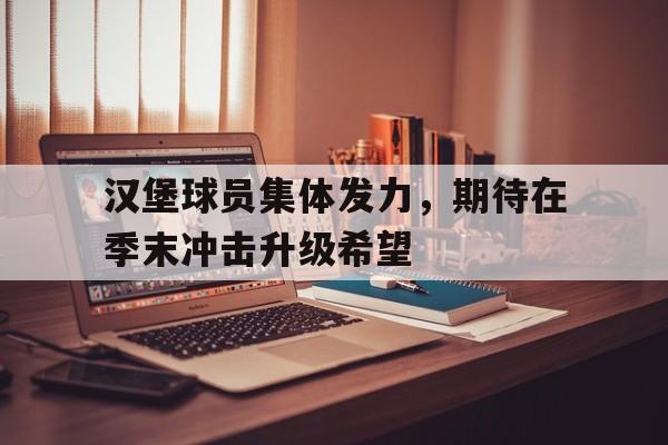 平博体育-汉堡球员集体发力，期待在季末冲击升级希望